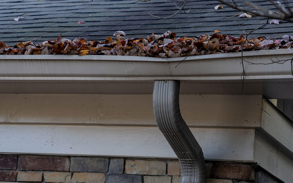 View of a home's gutter that is overflowing with leaves and other organic debris and clogging up a downspout