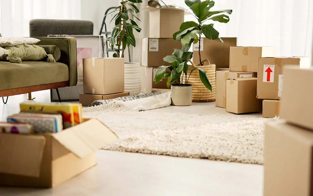 A pile of moving boxes and other items waiting to be moved out of the living room on a bright day