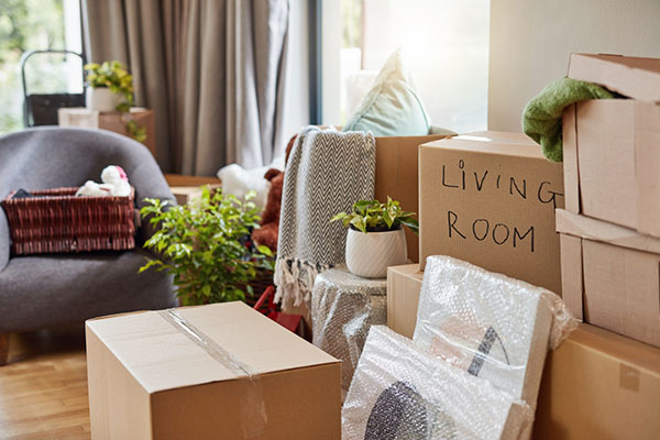 moving boxes