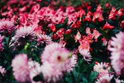 5 Ways to Ramp Up the Curb Appeal of Your North Texas Home
