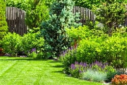 How to Maintain your Yard Under the Heat of Summer
