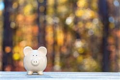 Save Money &amp; Energy This Fall