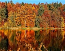 Fun Fall Decor Ideas