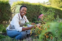 How to Build a Vegetable Garden at Your House