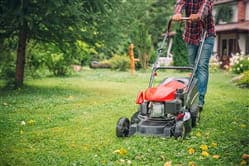 Summer Lawn Care Tips