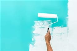 Choosing the Best Paint Color