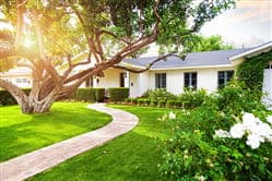 Boost Your Home’s Curb Appeal This Summer
