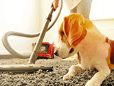 Common Household Cleaning and Maintenance Mistakes