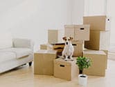 How to Choose the Best Moving Company for Small Moves