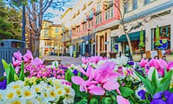 Portable Storage and Moving in San Jose, CA