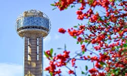 Portable Storage and Moving in Dallas, TX